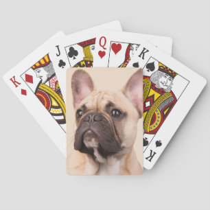 Baralho Crie Sua Própria Foto Personalizada de Animal de E