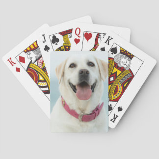 Baralho Crie Sua Própria Foto Personalizada de Animal de E