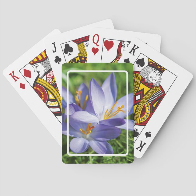 Baralho Crocus (Verso)