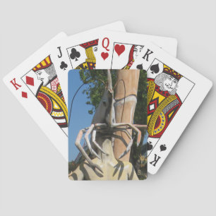 Baralho Crustacean AKA Lobster Head ... Inferno budista