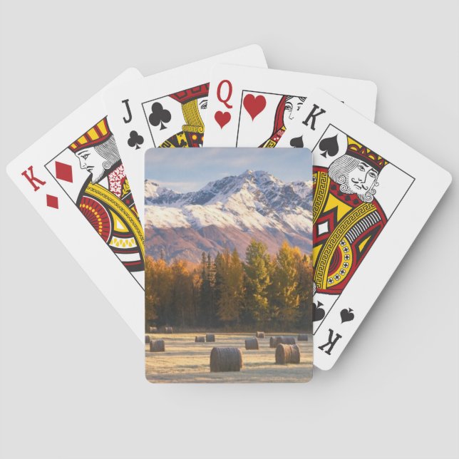 Baralho Cultivo de Alaska (Verso)