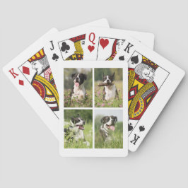 Baralho Custom Dog Photo Collage