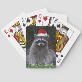 Baralho Cute Raccoon Vestindo Red Santa Hat