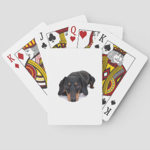 Baralho Dachshund pequeno