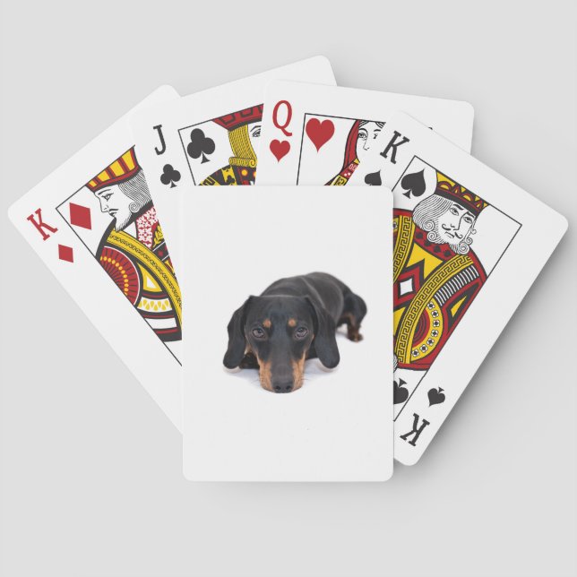 Baralho Dachshund pequeno (Verso)
