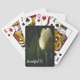 Baralho Daffodil Flor Belo Cotação de Vida