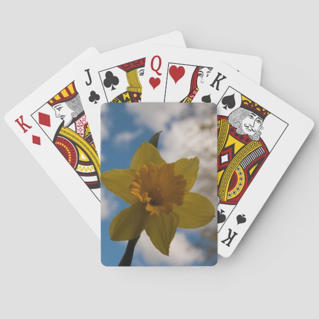 Baralho Daffodil na primavera (Verso)