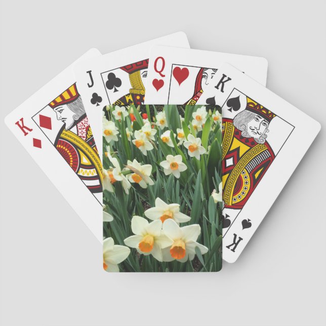 Baralho Daffodils (Verso)