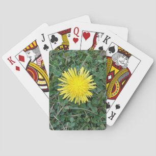 Baralho Dandelion e Clovers Lucky