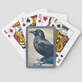 Baralho Dashing Disabled Daryl