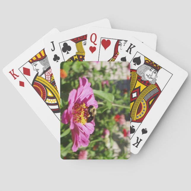 Baralho de Cartas de Aterrissagem (Verso)