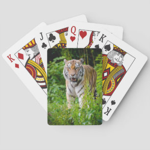 Baralho de Cartas de Jogo do Tigre Bonito