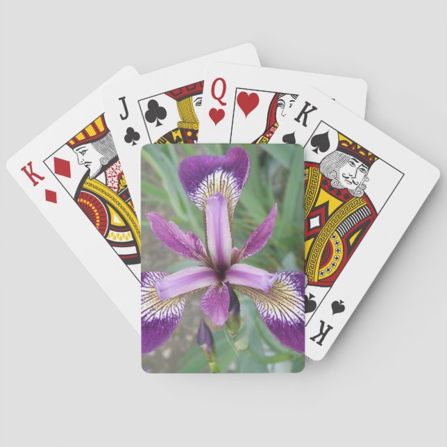 Baralho de Cartas Roxas de Íris (Verso)