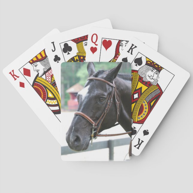 Baralho Deck de Cartões de Warmblood Negro  (Verso)
