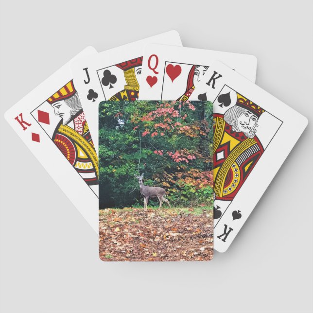 Baralho Deer in the Forest, Oregon (Verso)