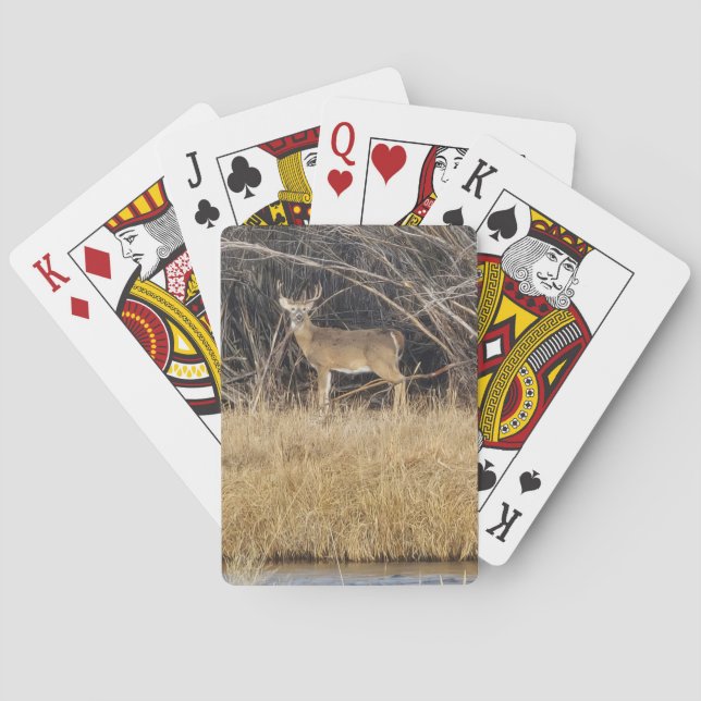 Baralho Deer in the Thicket Playing Cards (Verso)