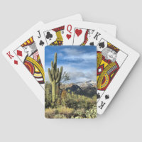 Desert Dreams Saguaro Cactus