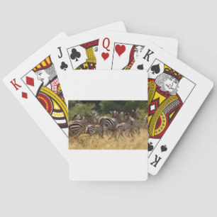 Baralho Design Sua própria Bela Migração de zebra Mara