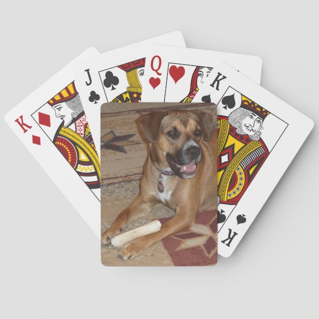 Baralho DG- Boxer Mix Placas (Verso)