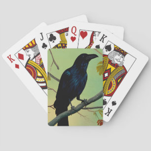 Baralho Diversão Deliciosa, Raven Emitido Na Ramificação