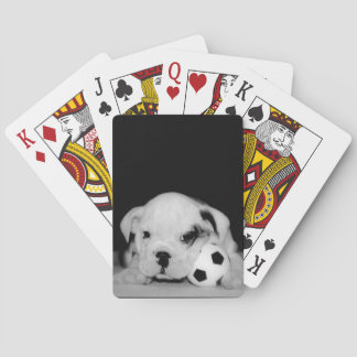 Baralho Do "fotografia inglesa do buldogue do filhote de