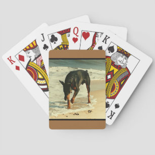 Baralho Doberman na imagem da pintura da praia