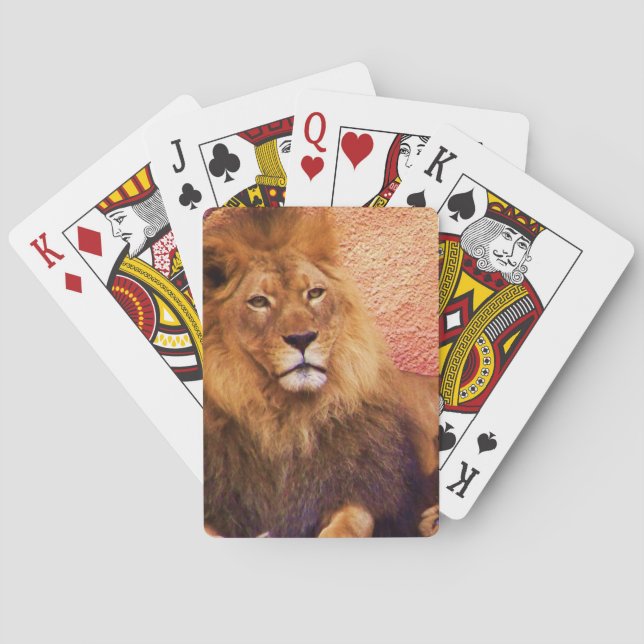 Baralho Doença (Verso)