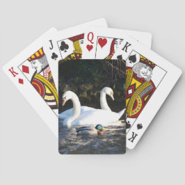 Baralho Dois Cisnes E Um Pato