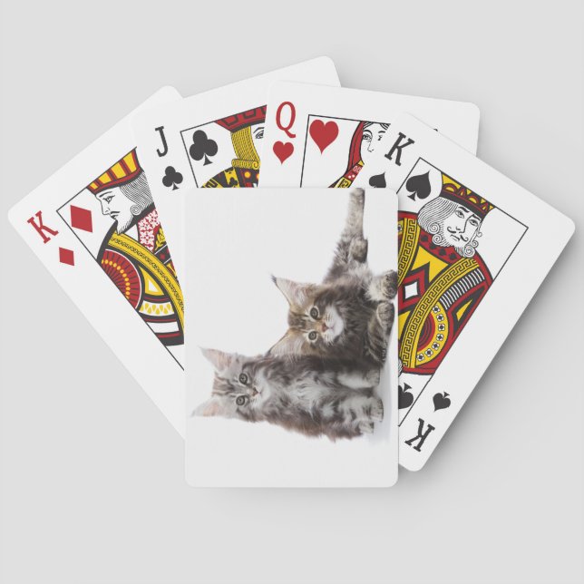 Baralho Dois gatinhos de casulo Maine (Verso)