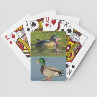 Baralho Dois patos em uma plataforma de cartões de jogo