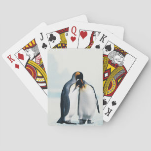 Baralho Dois pinguins afectuosos