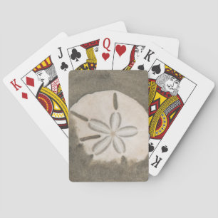 Baralho Dólar de areia (Echinarachnius parma)