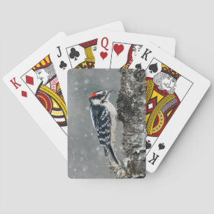 Baralho Downy Woodpecker em Neve - Foto Original