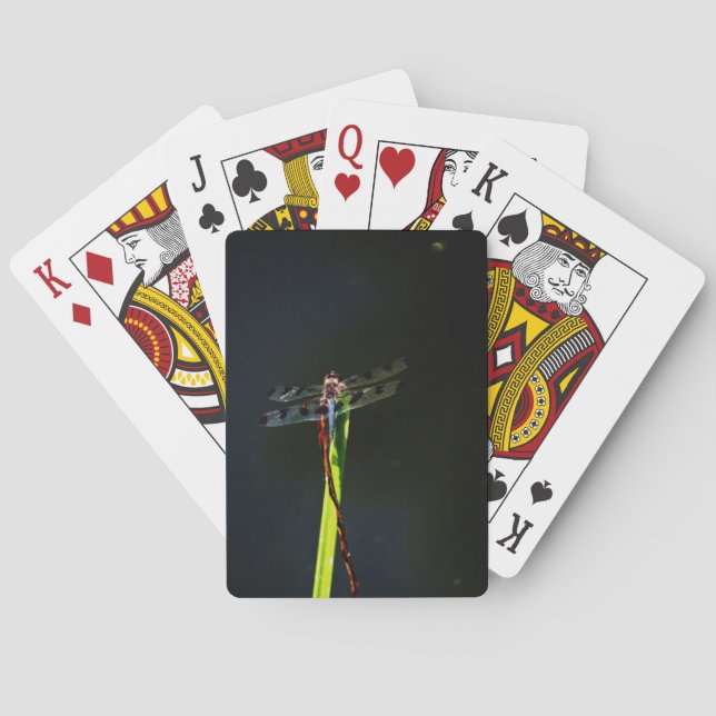 Baralho Dragonfly azul e preta sobre a grama verde e verme (Verso)