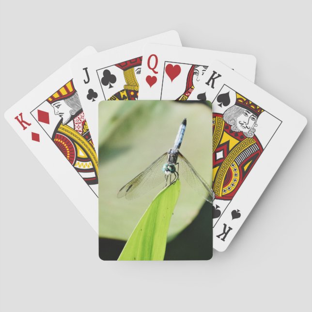 Baralho Dragonfly azul sobre uma folha verde (Verso)