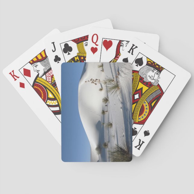 Baralho Dunas Transversais e Soaptree Yucca (Verso)