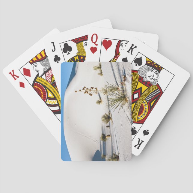 Baralho Dunas Transversas e Soaptree Yucca (Verso)