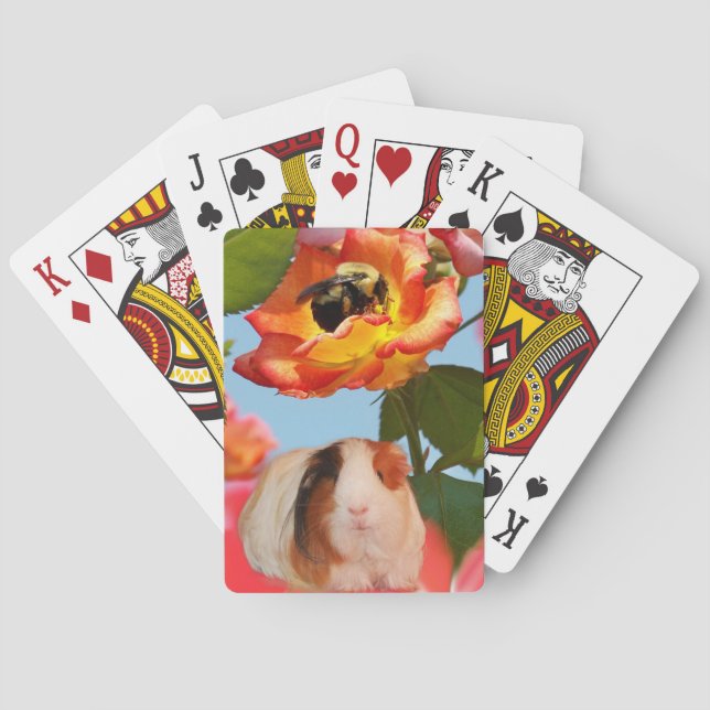 Baralho É ido ainda? A cobaia que esconde da abelha em (Verso)