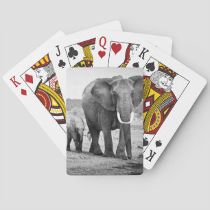 Baralho Elefante africano & vitelas Kenya, África