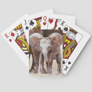 Baralho Elefante-bebê elefante-africano-bonito com mamãe