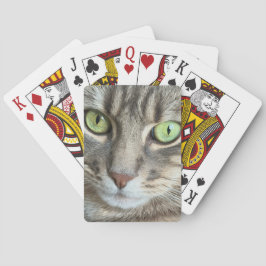 Baralho Emerald Eyes – Portrait of a Green-Eyed Cat