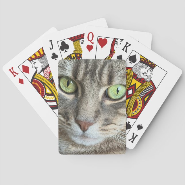 Baralho Emerald Eyes – Portrait of a Green-Eyed Cat (Verso)