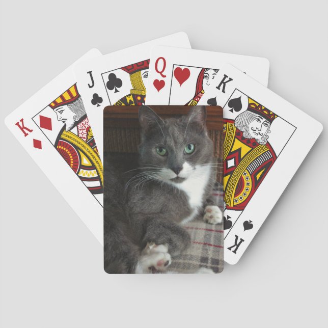 Baralho Empoeirado (Verso)