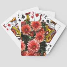 Encerramento da fábrica de crisântemo