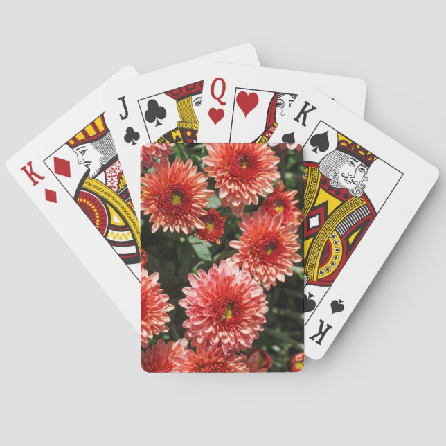 Baralho Encerramento da fábrica de crisântemo (Verso)