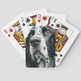 Baralho English springer spaniel portrait with ticking