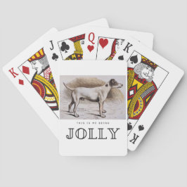 Baralho Engraçado, sou eu sendo o Jolly, esse Cachorro não