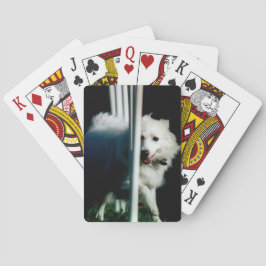 Baralho (Eskie) tecelagem Eskimo americana na sombra