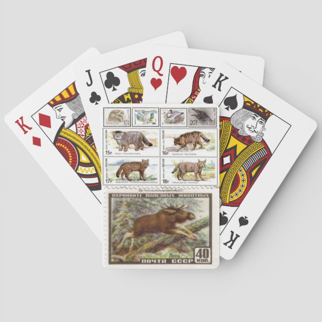 Baralho "Esmagado" (Verso)