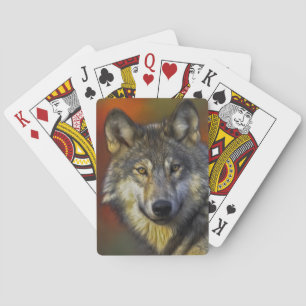 Baralho Espírito do Lobo - Presentes de foto de lobo ther